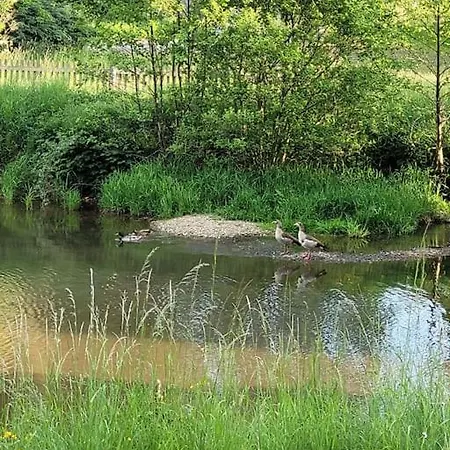 Landidyll, Am See, Kinderfreundlich, Minischweine *