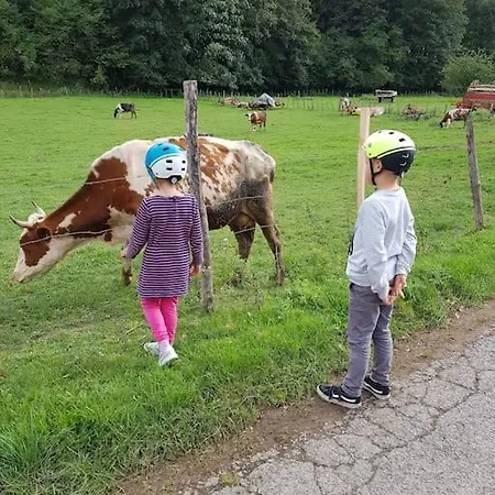 Landidyll, Am See, Kinderfreundlich, Minischweine * Halver